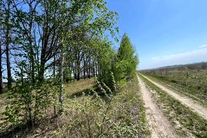 ділянка за адресою с. Михайлівка-Рубежівка, 