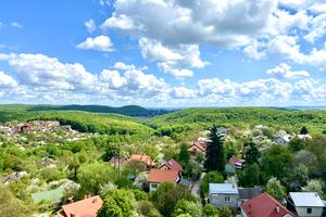 комерційна за адресою Абуабдулло Рудакі вул.