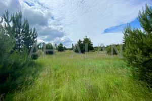 ділянка за адресою прибережная