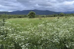 ділянка за адресою Січових Стрільців