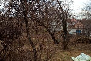 участок по адресу с. Великая омеляна, Тиха, 6