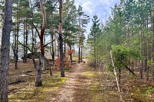 участок по адресу Кільцева