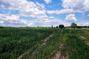 ділянка за адресою Свято-Покровська вул. (Леніна), 141-а