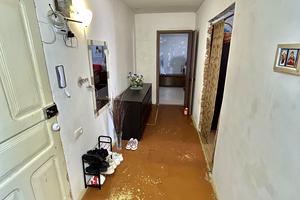 квартира по адресу Архитектора Старова ул., 4а