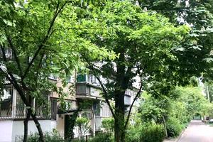 квартира по адресу Сегедская ул., 25