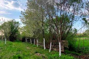 будинок за адресою Лесі Українки, 31