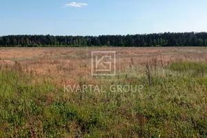 участок по адресу с. Гавриловка, Березова