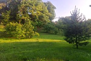участок по адресу с. Лесники, Клубна, 33