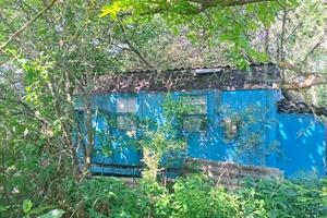 ділянка за адресою с. Музичі, Горіхова