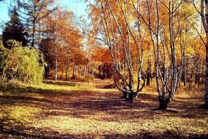 квартира по адресу докучаева, 2