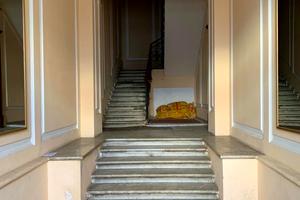 квартира по адресу Пастера ул., 30