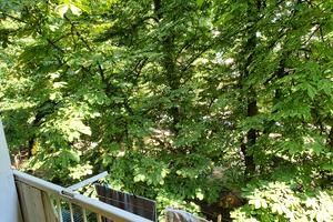 квартира за адресою Космонавтів вул., 31