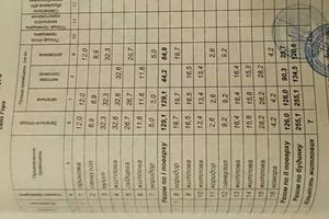 дом по адресу Чубинского ул.