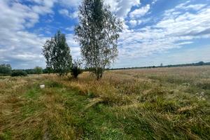 ділянка за адресою с. Козинці, 