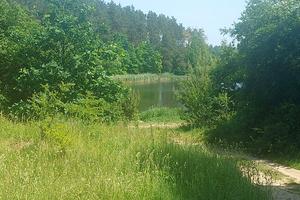 ділянка за адресою Антоновича Професора вул.