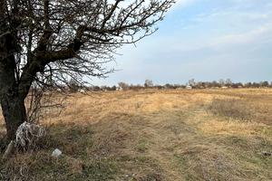 будинок за адресою Заливна