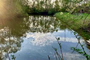 будинок за адресою Лесі Українки, 31