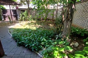 будинок за адресою Нікольська, 10/1 