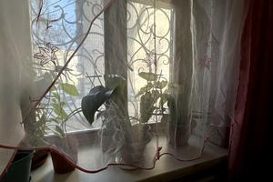 квартира за адресою Прогресивна вул., 10