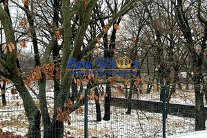 будинок за адресою Берегова вул., 55
