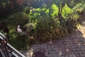 квартира за адресою Дніпро, Токмацька вул., 48