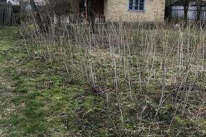 будинок за адресою Свято-Покровська вул. (Леніна)