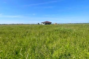 ділянка за адресою Ужгородська