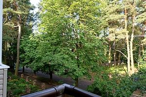 квартира по адресу Самойловича Гетьмана ул., 8