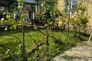 дом по адресу Івана Франка ул.