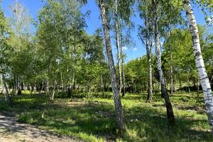 участок по адресу Ирпень, Федора Кричевського, 25б