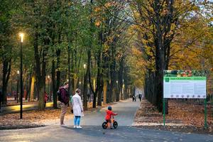 квартира за адресою Івана Каркача бульв., 77