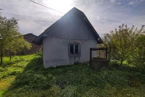 дом по адресу Миру, 20