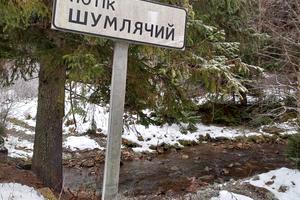 ділянка за адресою с. Гриньків, Урочище Шумляче