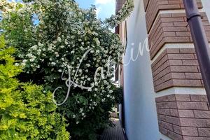 дом по адресу 230-й Стрелковой Дивизии ул. (230-ї Стрілецької Дивізії)
