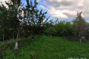 ділянка за адресою Виноградна