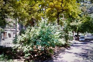 квартира за адресою Шевченка просп., 11