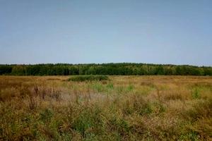 дом по адресу Михайленка