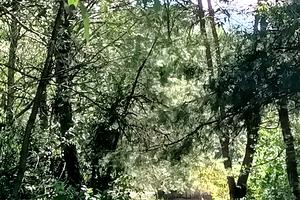 будинок за адресою Михайла Грушевського вул.