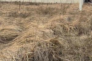 участок по адресу Ирпень, Григория Сковороды ул.