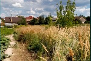 ділянка за адресою с. Софіївська борщагівка, Ярошівська, 47