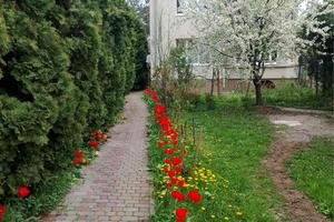 будинок за адресою Пекарська вул.