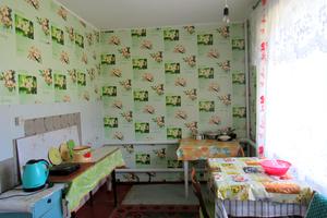 будинок за адресою с. Дубіївка, Космонавтів , 61