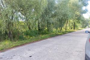 участок по адресу Центральна
