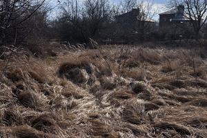 участок по адресу Дачная ул.