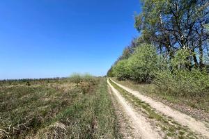ділянка за адресою с. Михайлівка-Рубежівка, 