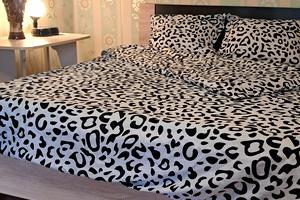 комната по адресу Генерала Петрова ул., 5