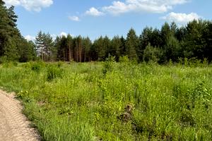 ділянка за адресою 
