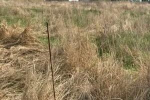 участок по адресу Софіївсько-Борщагівська сільська рада