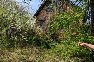 участок по адресу лісова казка