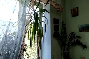 квартира по адресу Борисоглебская ул., 2